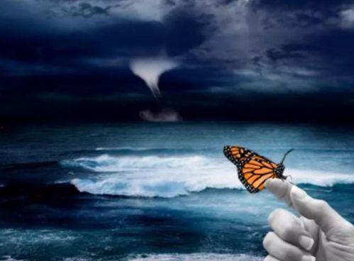 蝴蝶效应 在线观看,揭秘微小变化如何引发巨大连锁反应